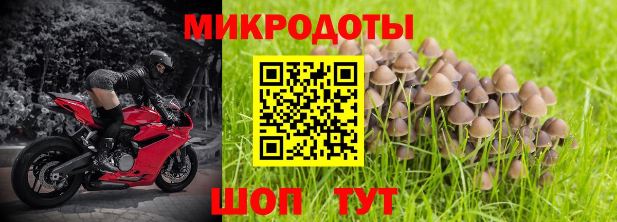 Галлюциногенные грибы Psilocybe  Вход с VPN  Каспийск 