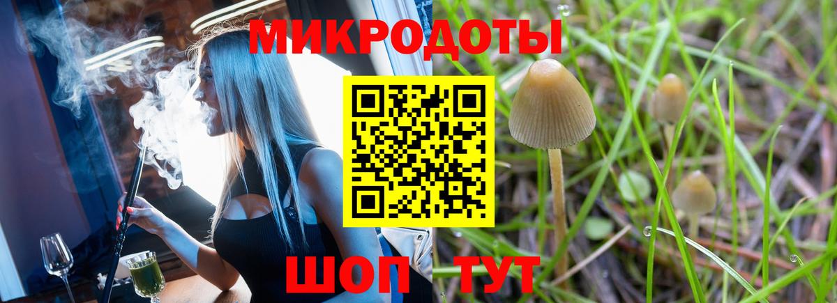 Галлюциногенные грибы Psilocybine cubensis Каспийск