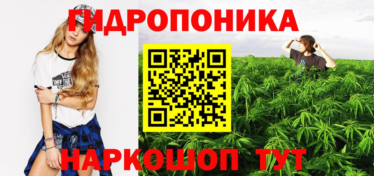 Конопля MAZAR  Вход с VPN  Бошки Шишки Bruce Banner  Марихуана Amnesia  Каспийск 